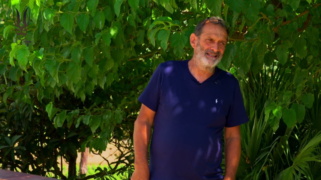 Candido Vini - Camporeale (Pa) - Ruralità