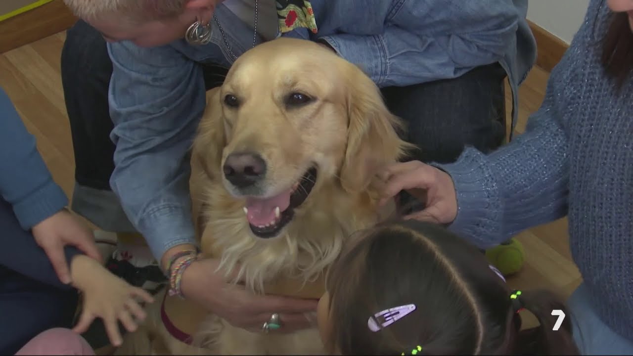 Nairobi, la perra terapeuta que ayuda a los niños en Águilas | La 7