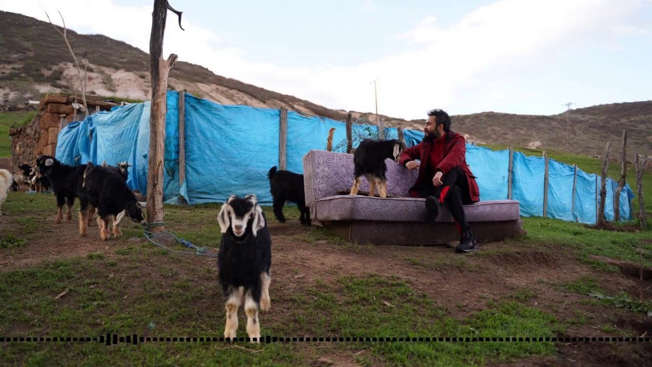 xwezila / dotmame - Ciwan Adar
