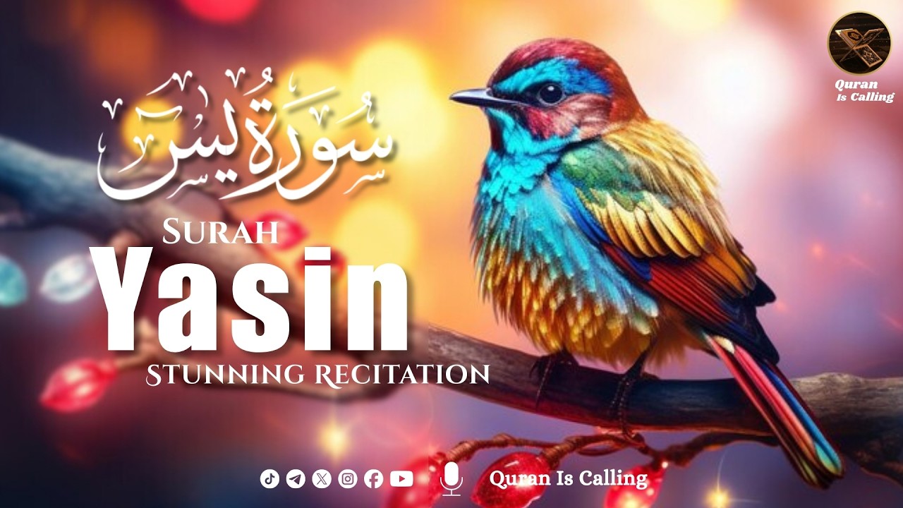 🌙 Surah Yaseen (سورة يس) | The Heart of the Quran | Calm & Soul Healing Recitation