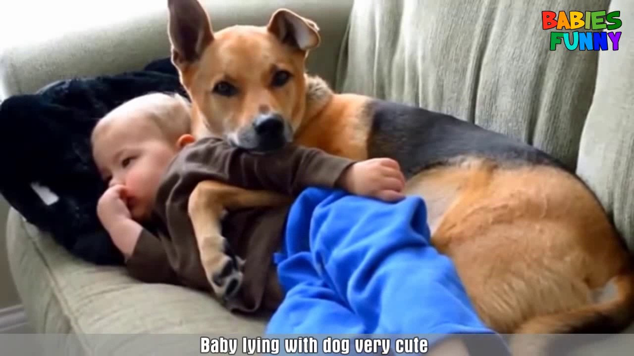 Cute Babies Sleeping With Dogs!   YouTube
