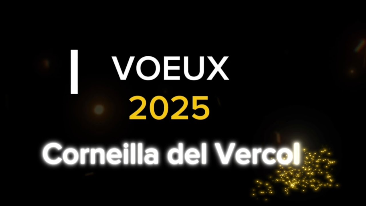 Vœux 2025