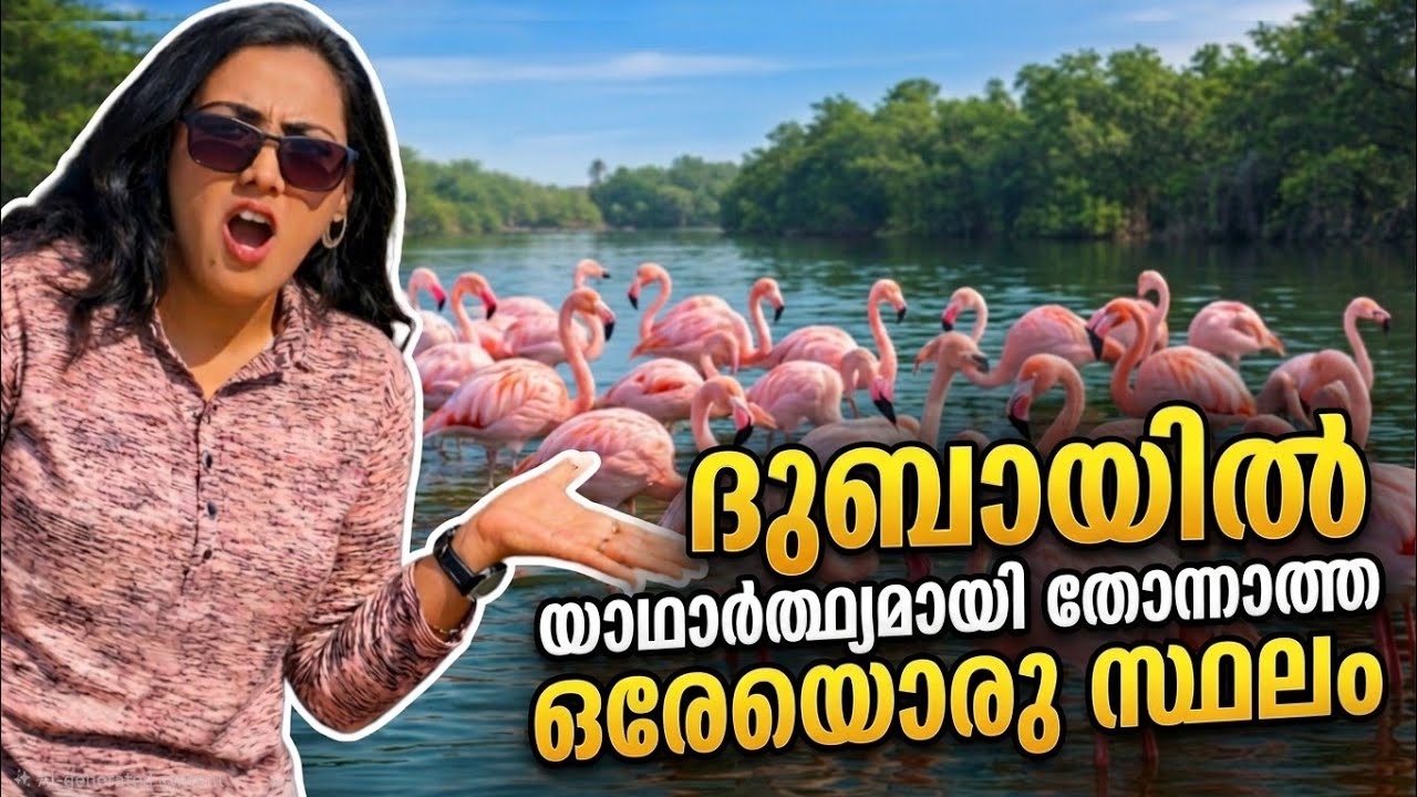 ജീവിതത്തിൽ ഒരിക്കൽ എങ്കിലും കാണണം! 🦩 UAE Flamingo Lake | Family Vlog