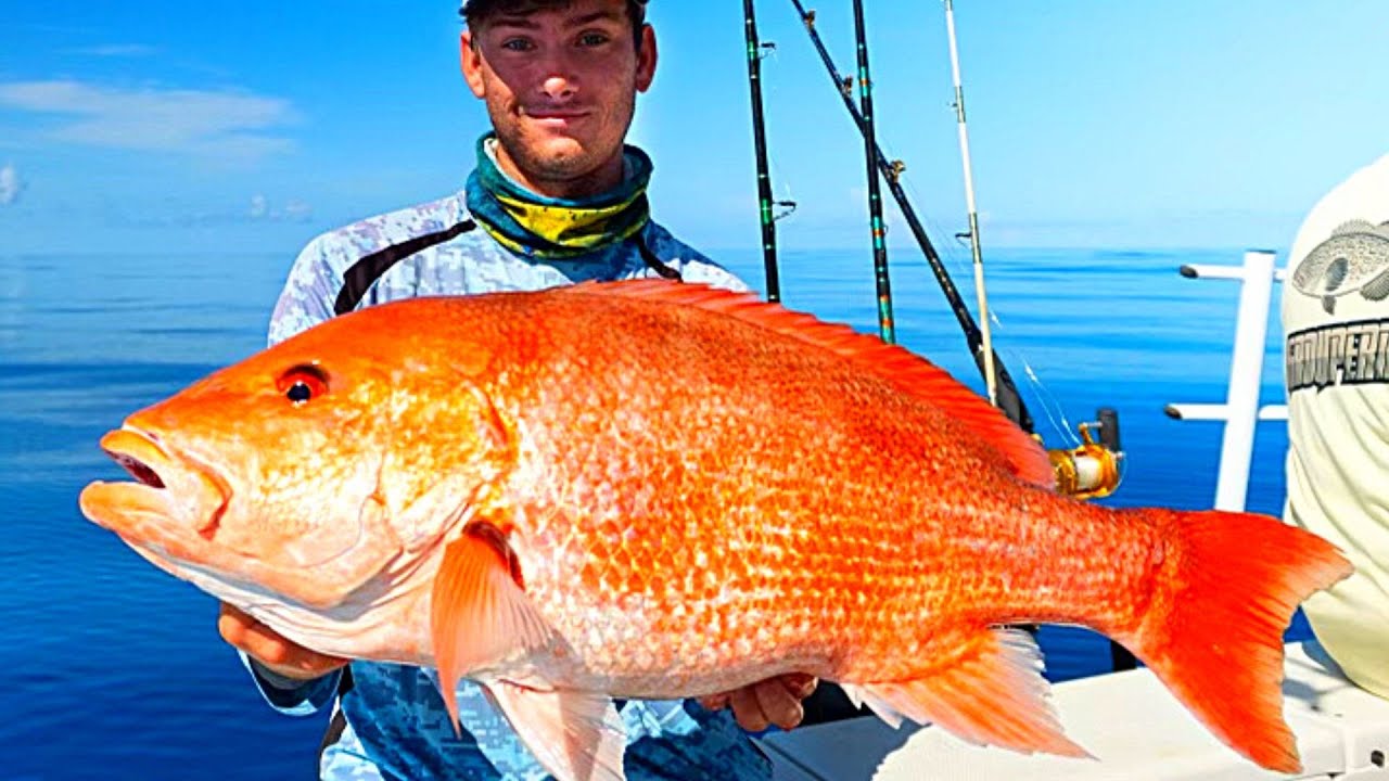 How to Catch and Find Red Snapper Offshore Tampa Bay!!