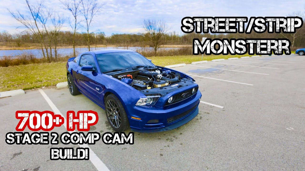 Bludini 2.0 | My 700+HP CAMMED BUILD PLANS! 2014 Mustang GT