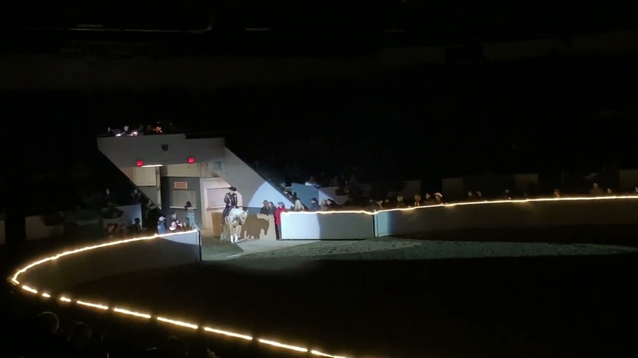 2021 Equine Affaire Fantasia Luke Gingerich and Tinseltowns Whizard Reining / Liberty Freestyle