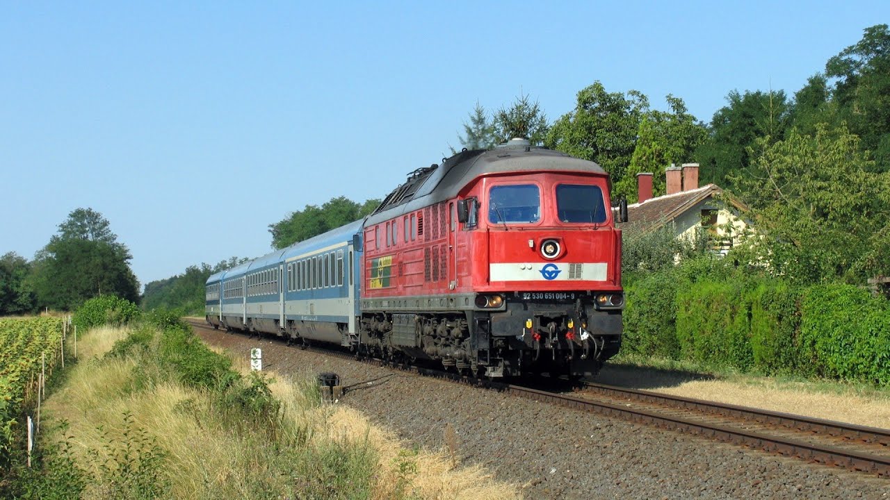 A Ludmilla Magyarorsz&aacute;gon / Ex-DR Br 132 bei der Raaberbahn