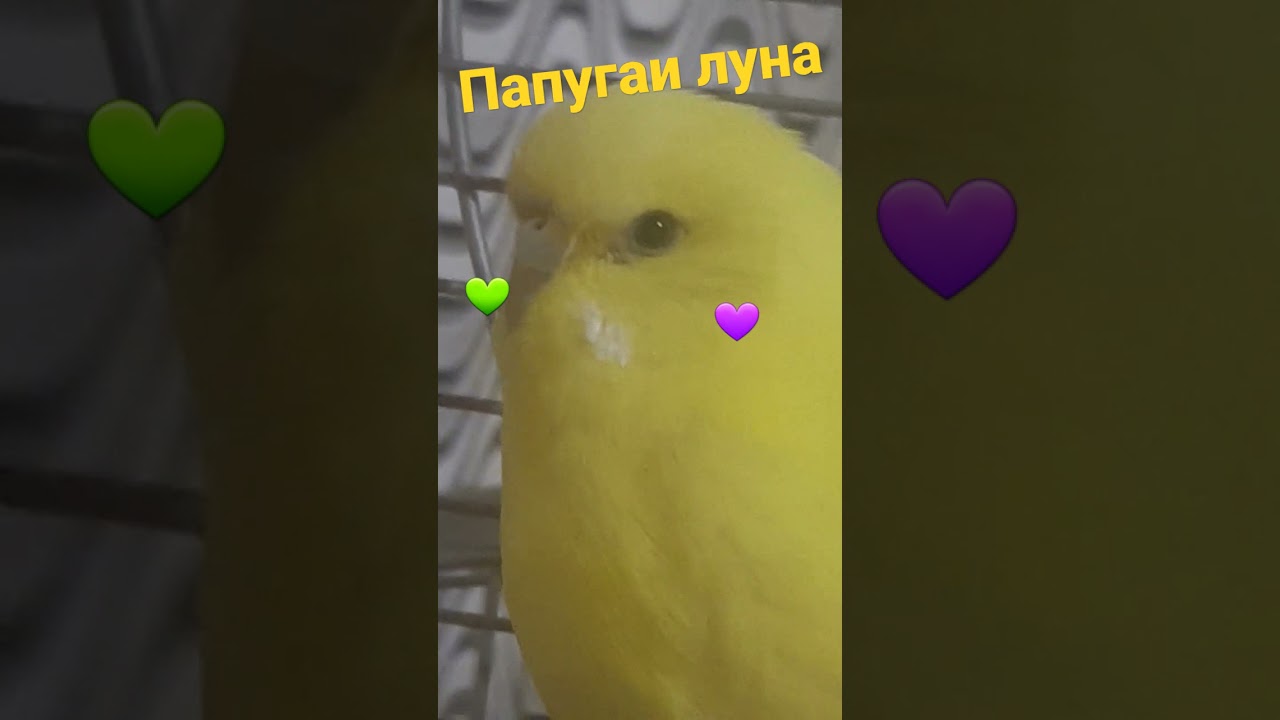 21 сентября 2021 г.