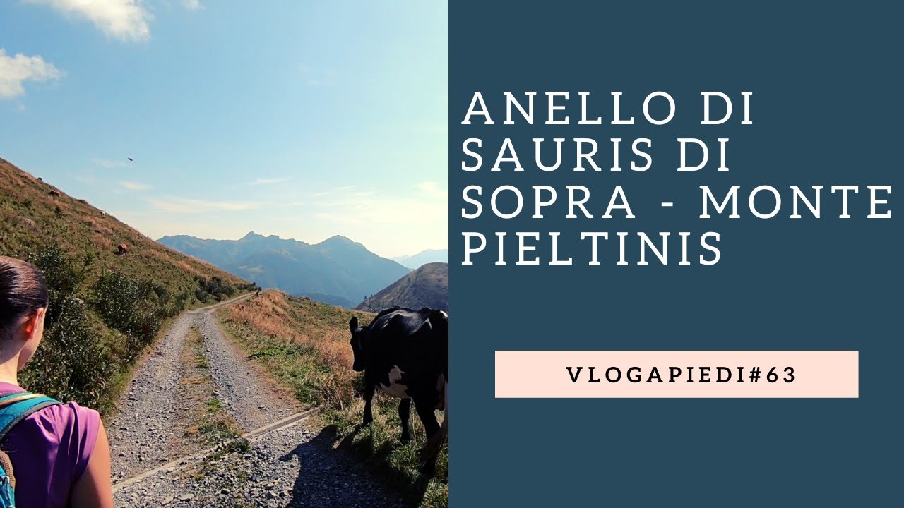 63. Carnia - Anello Sauris di Sopra - Monte Pieltinis