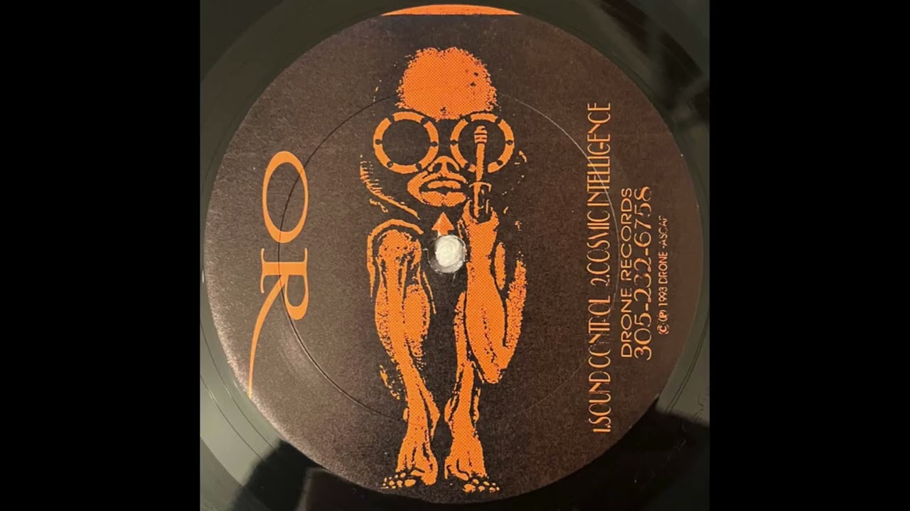 Organized Revolution – Cosmic Intelligence