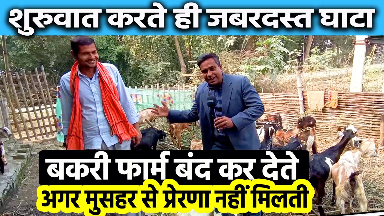 🐐🐐33 बकरी वाला यह किसान 2 साल पहले घाटे के कारण Goat Farming बंद करने वाला था पर जानिए आगे क्या हुआ