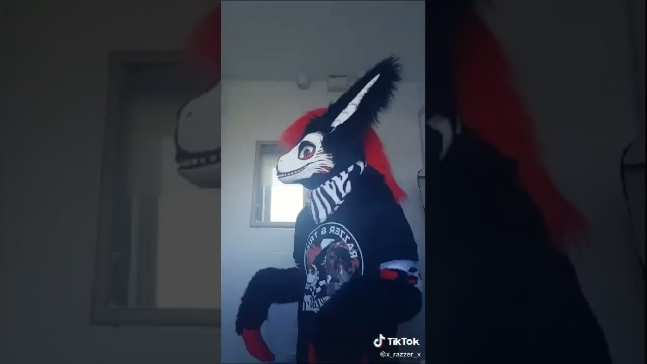 BEST Furry TikToks compilation 0371 #shorts #furrytiktok #furry #furrycompilation  #funnyvideo