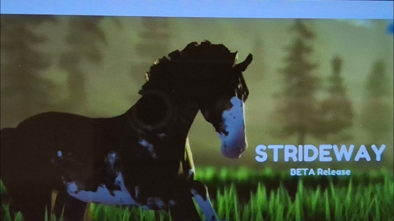 new horse in strideway!!🤭😝