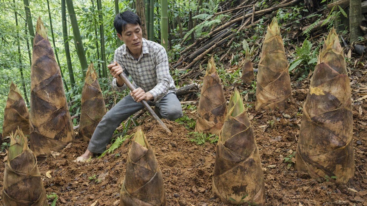 Huge Wild Bamboo Shoot Harvest – Busy Market Day & Planting Turmeric for Profit | Solo Survival