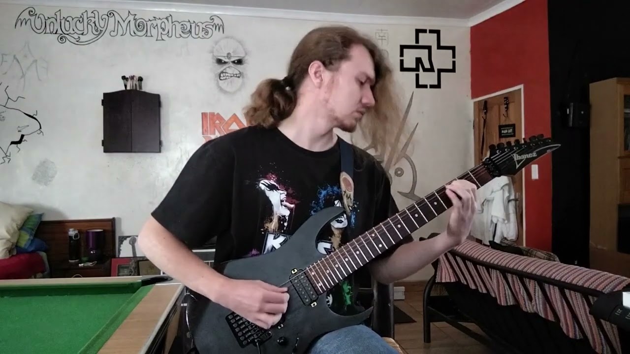 Yousei Teikoku - IRON ROSE (Guitar Cover)