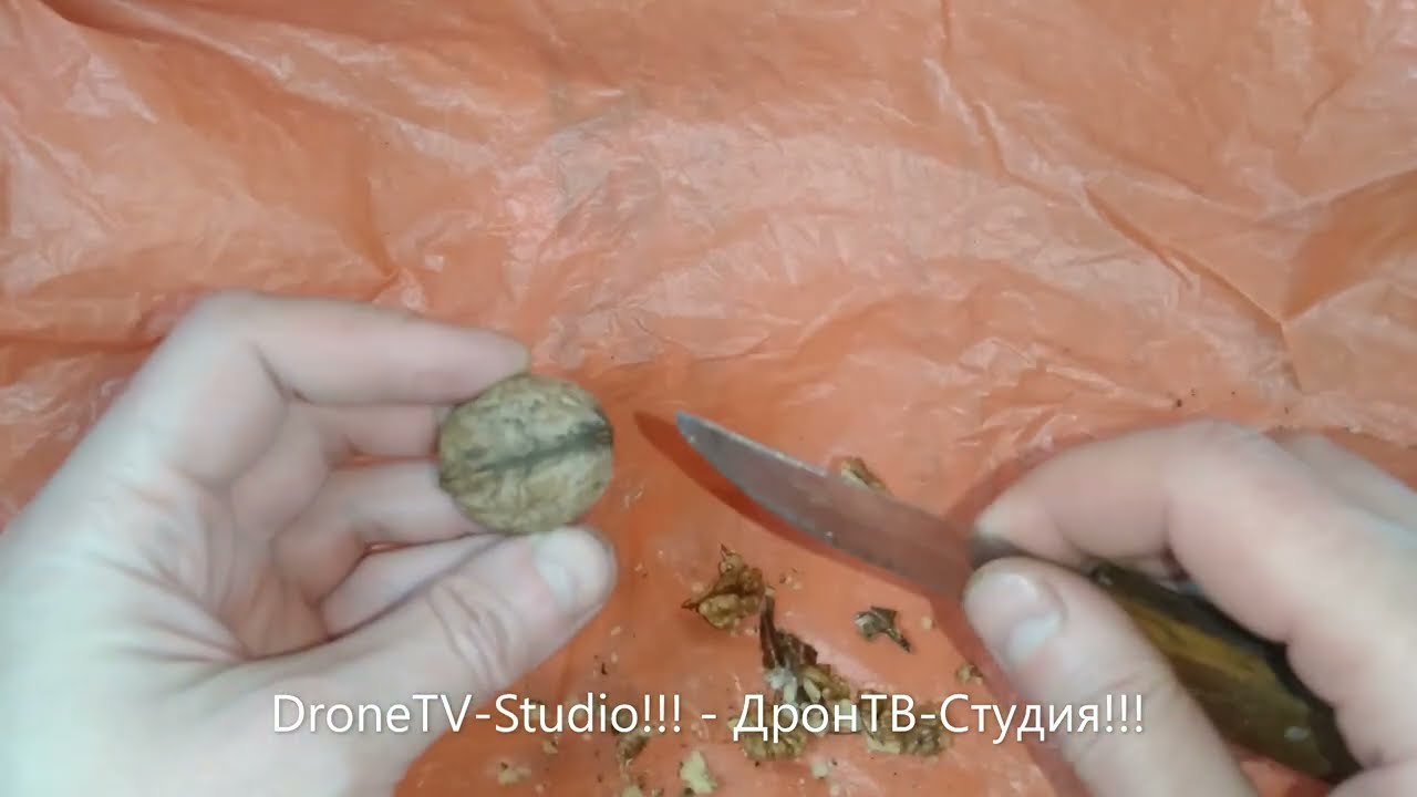 Как Расколоть Орех Быстро!!!👍👍👍 How to Crack a Nut Quickly!!!👍👍👍