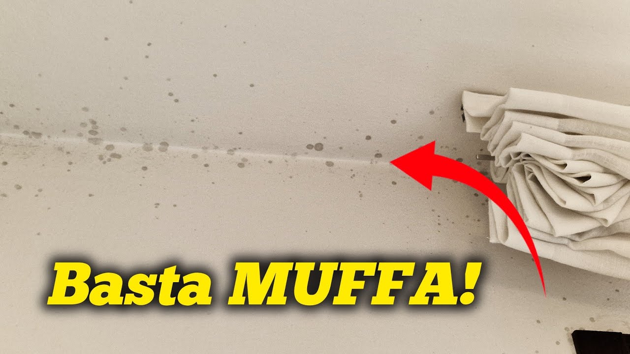 Addio MUFFA con Saratoga!