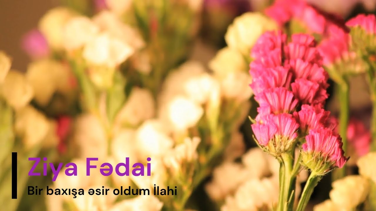 Ziya Fədai - Bir baxışa əsir oldum (Qiraət 
