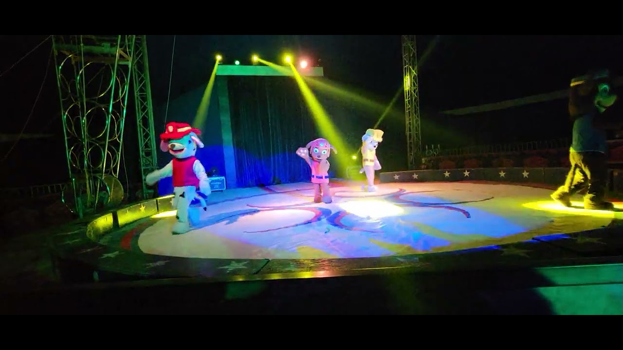 paw patrol en el circo!