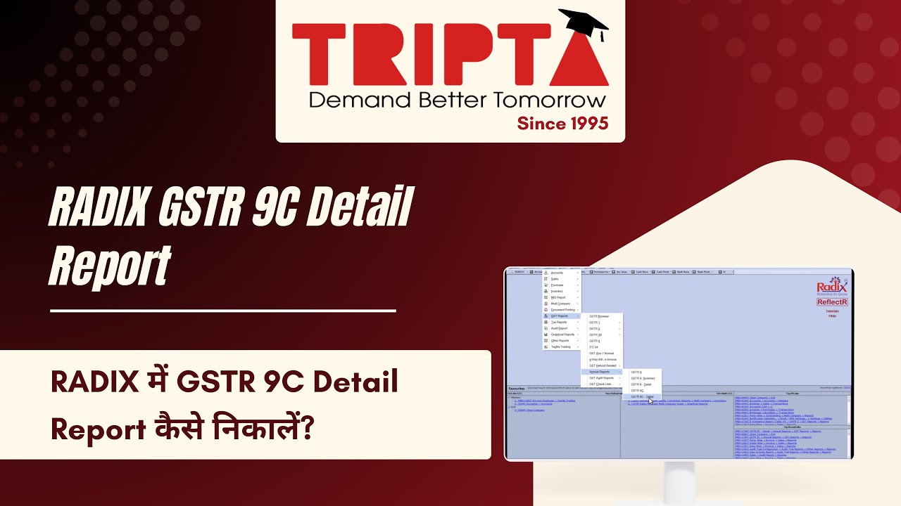 How to Generate GSTR-9C Detail Report in RADIX | Step-by-Step Tutorial