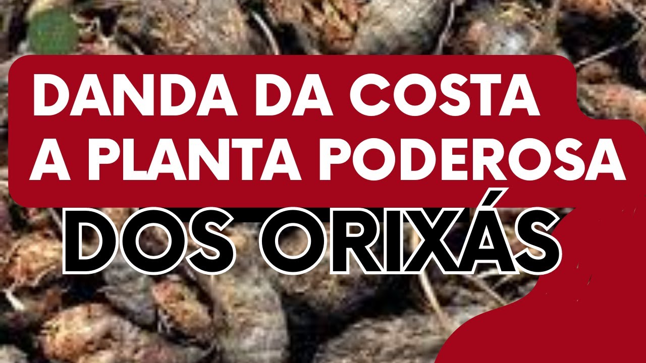 DANDA DA COSTA - O RESGATE DO ORIXÁ     @kitandadosorixas