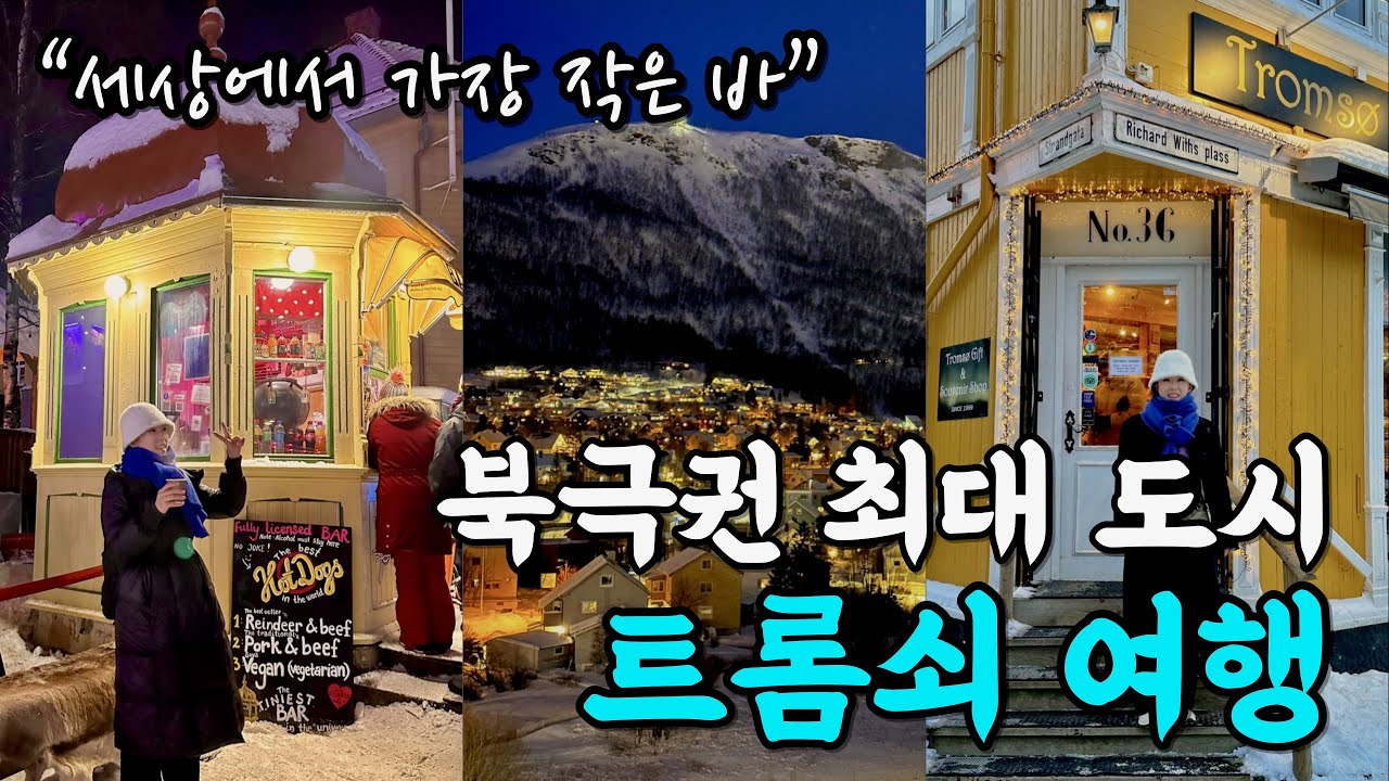 오로라 기다리며 즐기는 트롬쇠 시내 투어｜북극권 도달증명서 & 세상에서 가장 작은 바｜노르웨이 여행 브이로그