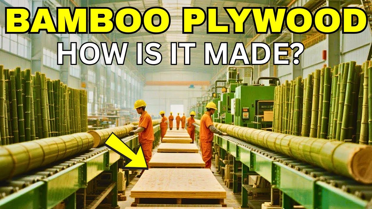 How Millions of Bamboo Trees Are Processed in a Massive Factory to Become Plywood