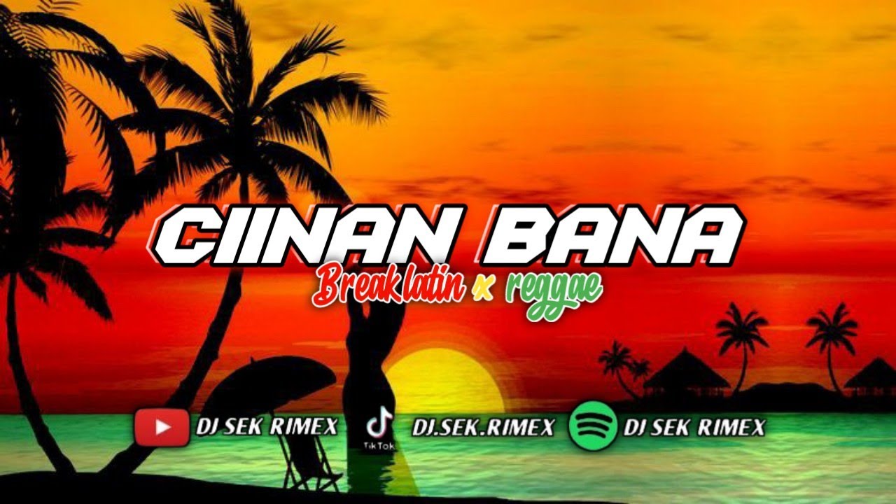 Dj Ciinan Bana Breaklatin X Reggae Remix Viral