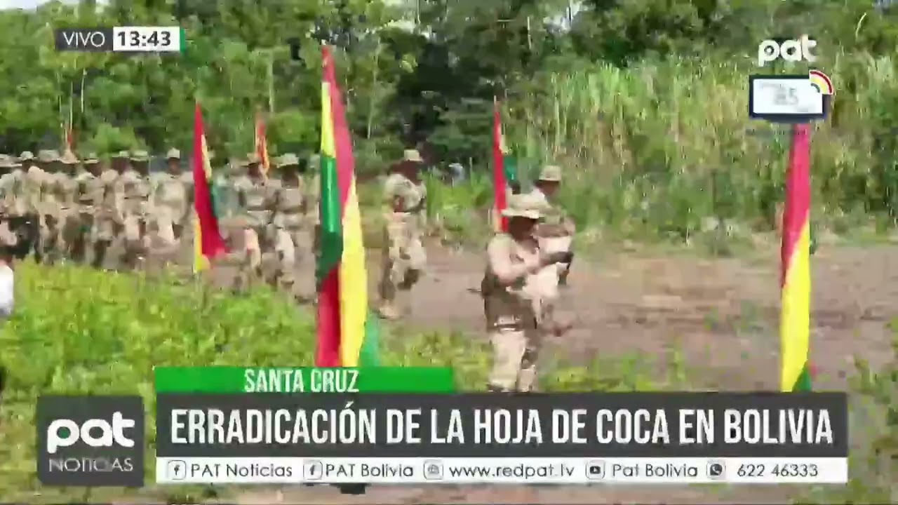 Gobierno inicia campaña de erradicación de cultivos ilegales de coca en Cochabamba