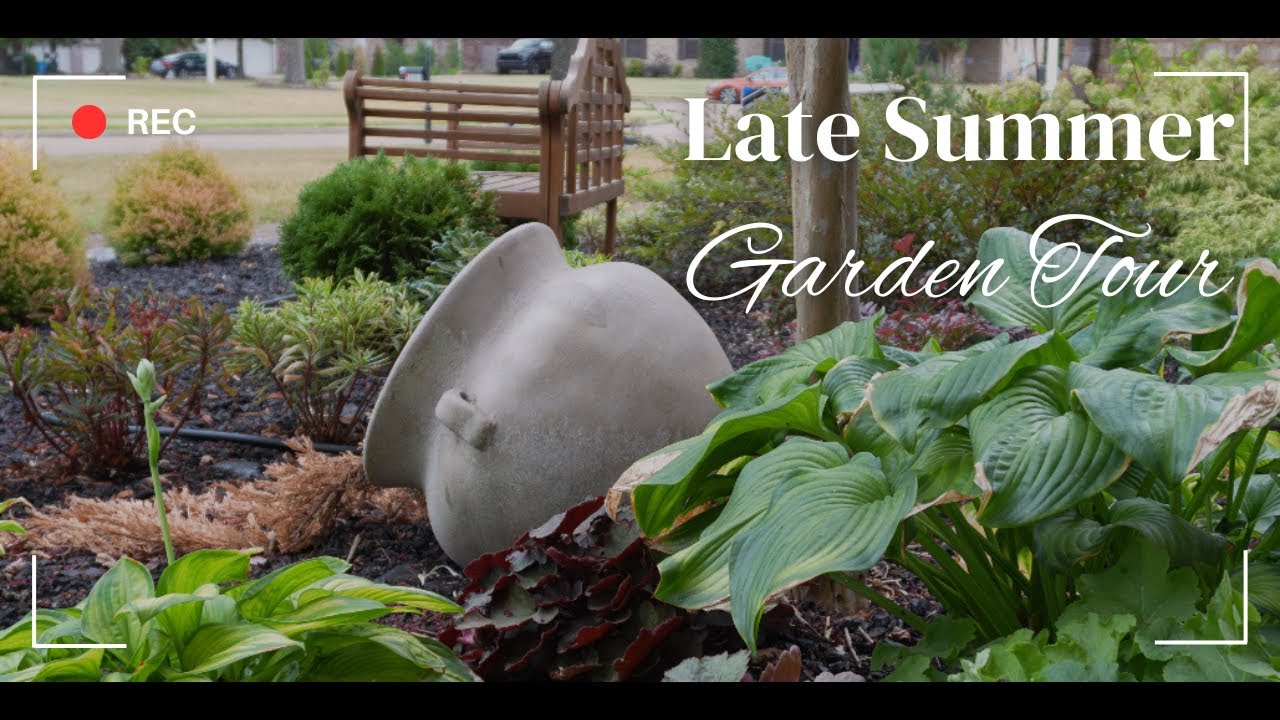Late Summer / August Garden Tour