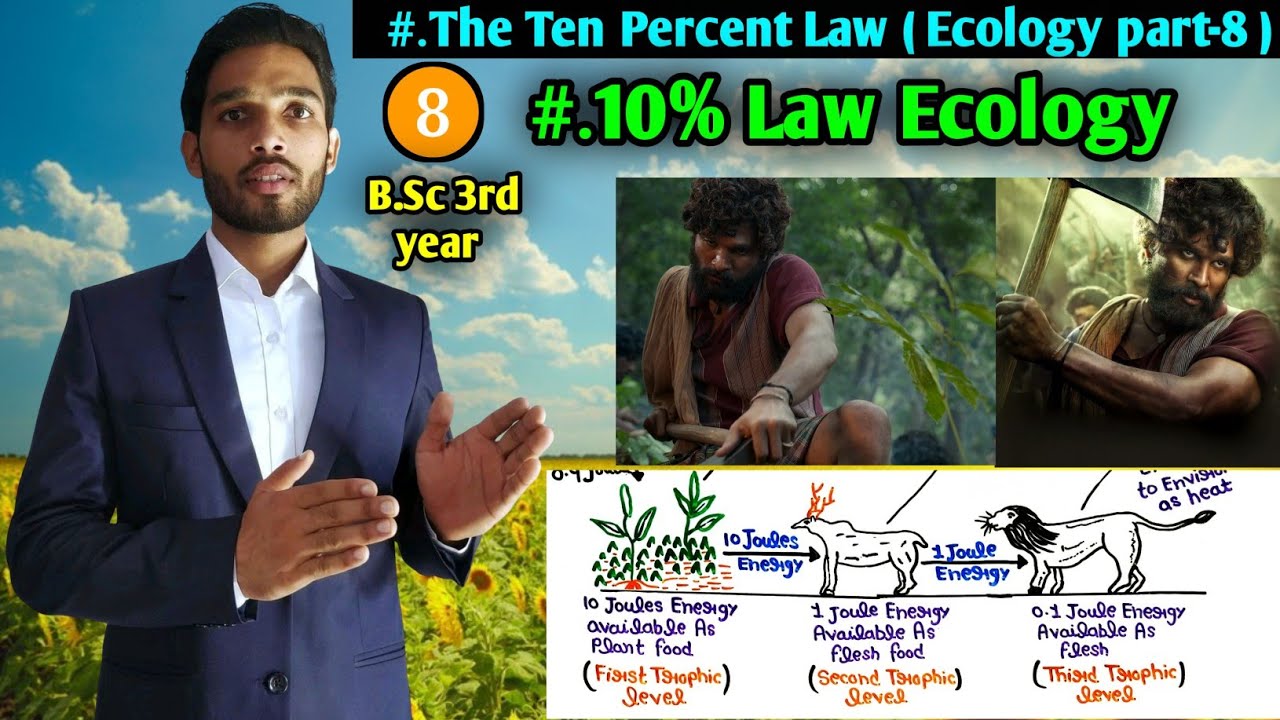 Ten percent law || 10% law Ecology part-8 || B.Sc 3rd year Zoology 3rd semester