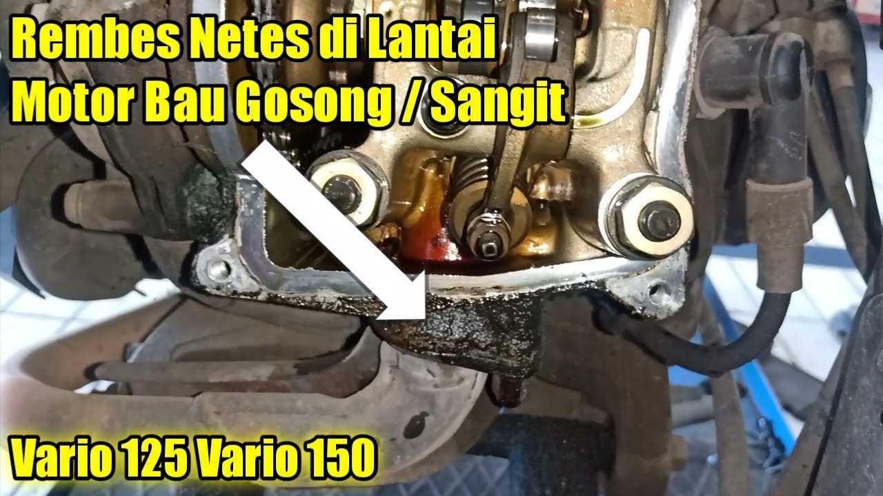 Ganti SEAL HEAD vario 125 150 agar tidak bocor lagi