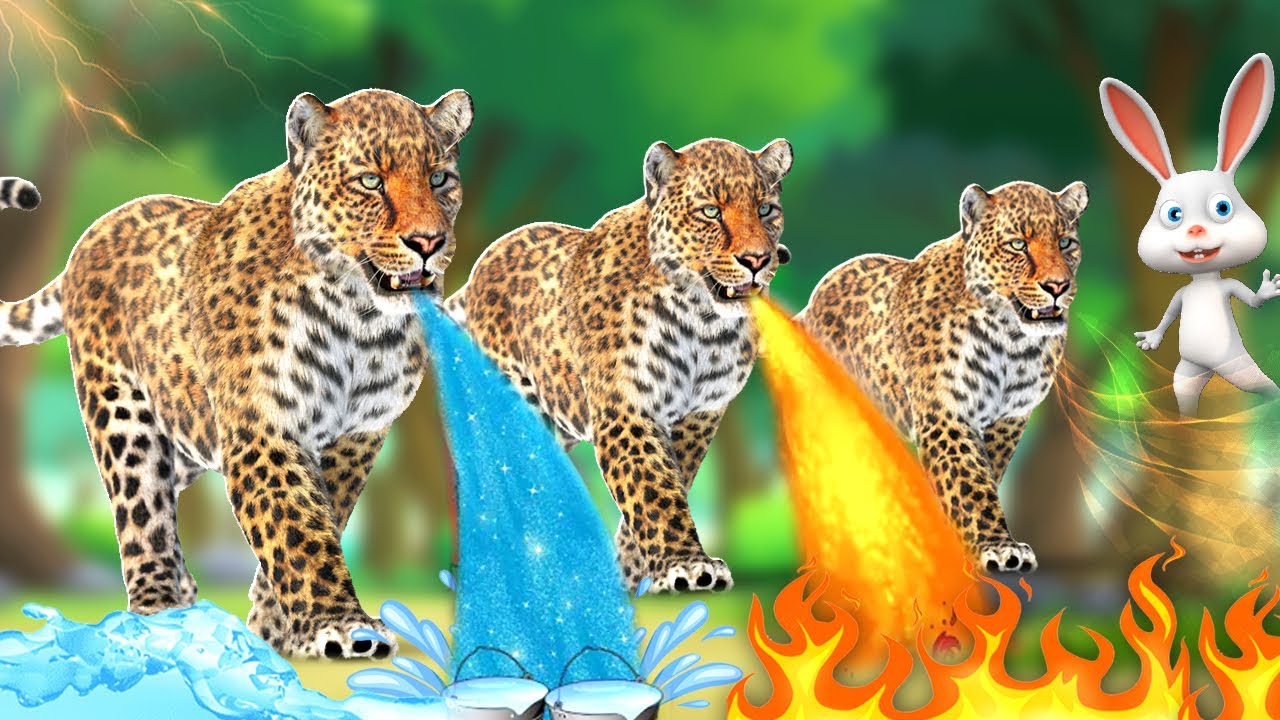 புத்திசாலி முயல் மற்றும் மூன்று சிறுத்தைகள் - Clever Rabbit & 3 Panthers Tamil Moral Stories JOJO TV