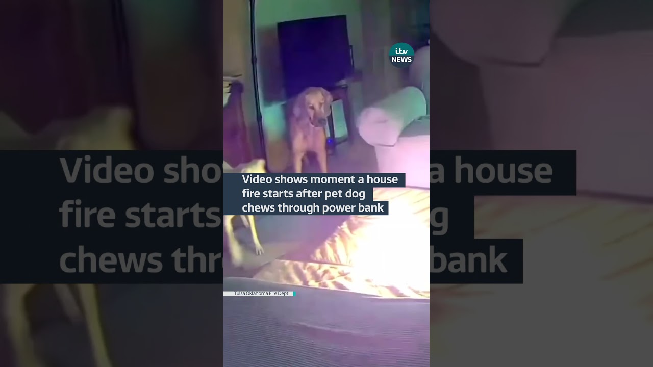 Video shows moment a house fire starts after pet dog chews through power bank
