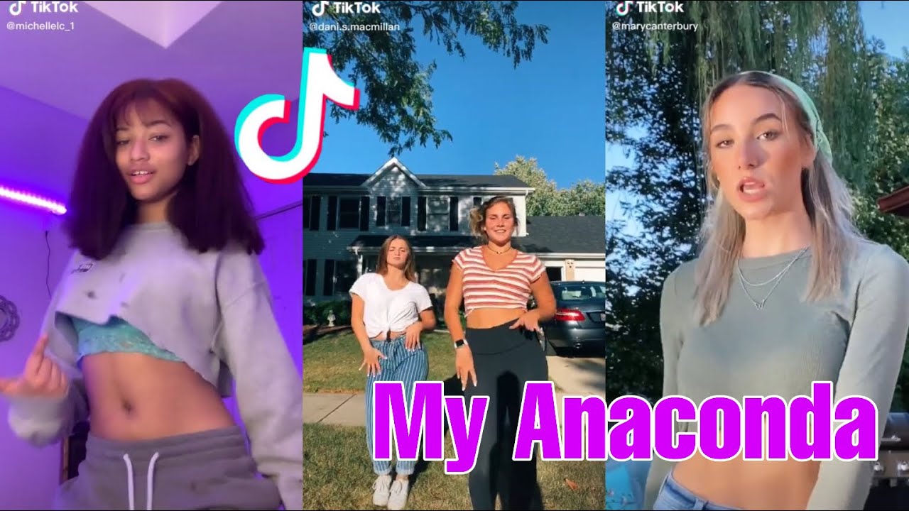 My anaconda don’t my anaconda don’t ~ Tik Tok Dance Compilation