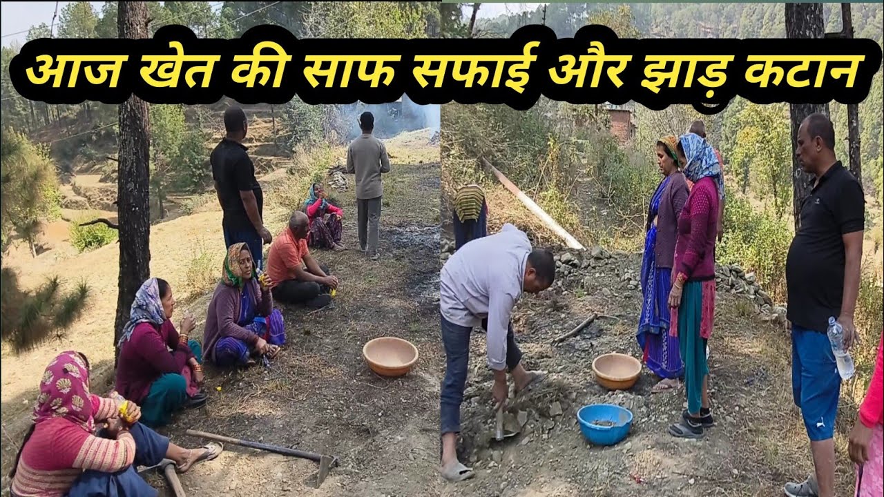 आज पहली बार सभी भाइयों ने साथ मिलकर किया खेत में काम आखिर क्यों || pahadi lifestyle vlog ||