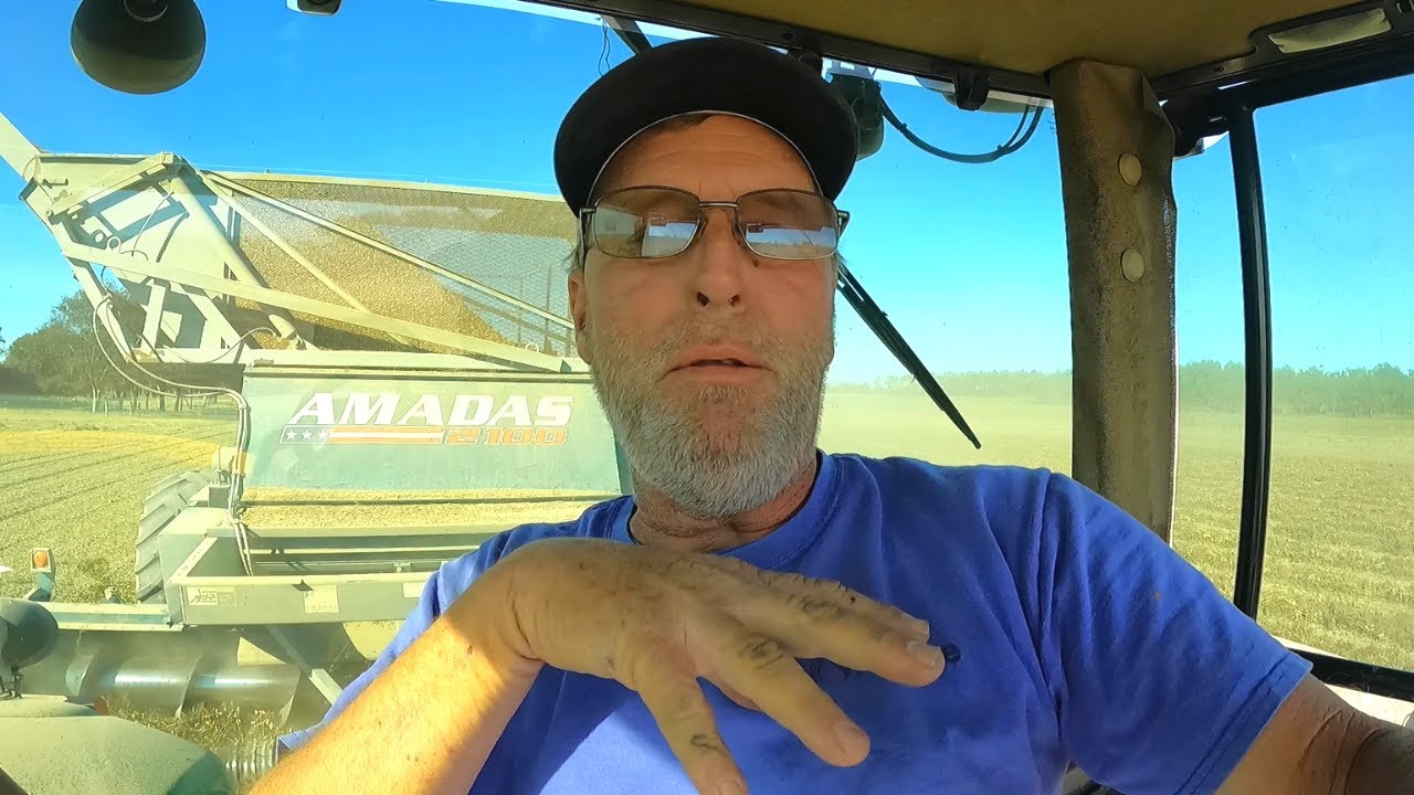 No Good Dry Land Peanuts