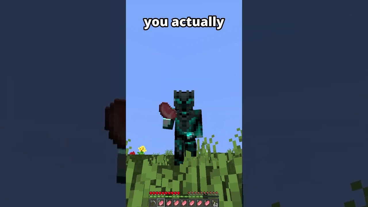 Things only old Minecraft players remember...