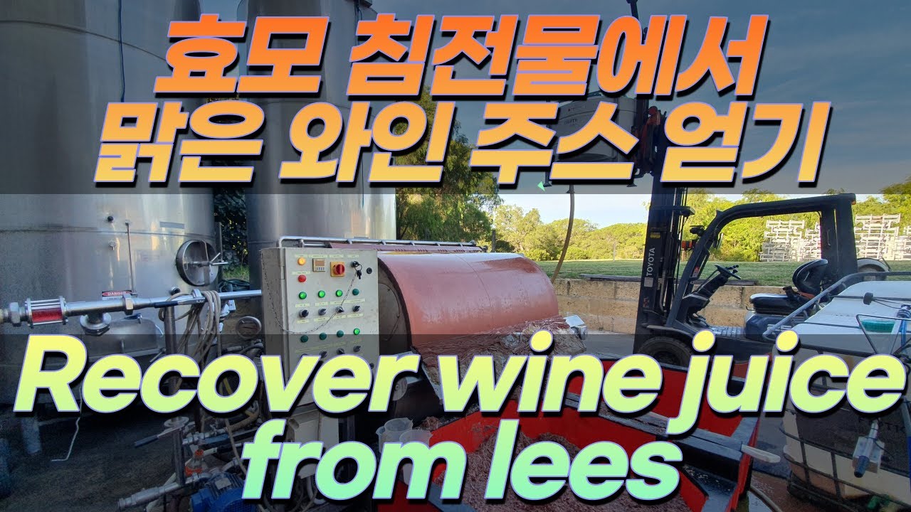 6. Rotary Drum Vacuum Filtration - Recover wine juice from lees - white wine making step by step