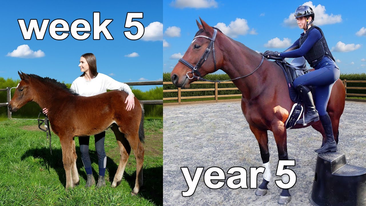 i waited 5 years to ride my horse..
