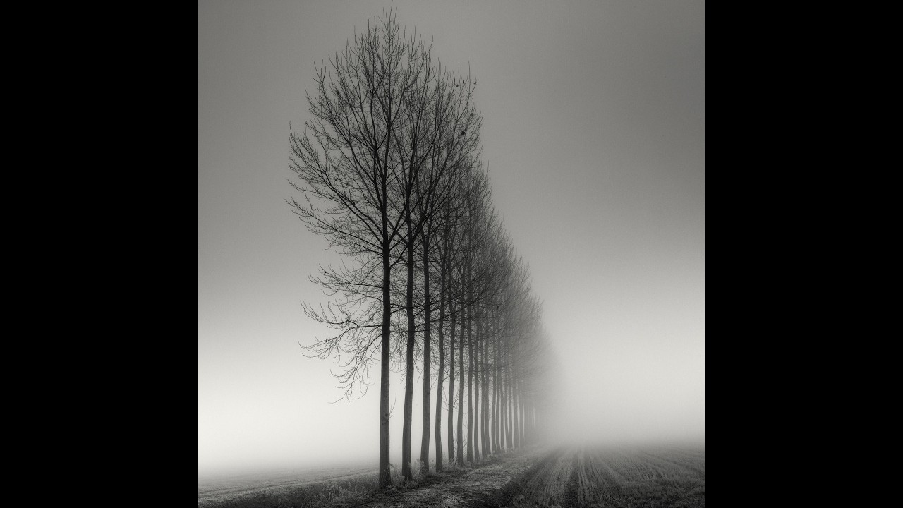 ByErik ヵ - Desolate (Slowed)(Dmitry Martines mix) 10 Hour