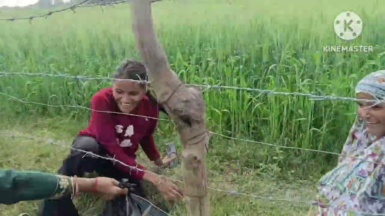 फारी फूलन बाजी नहीं बचा ला सब खोट लेती हैं