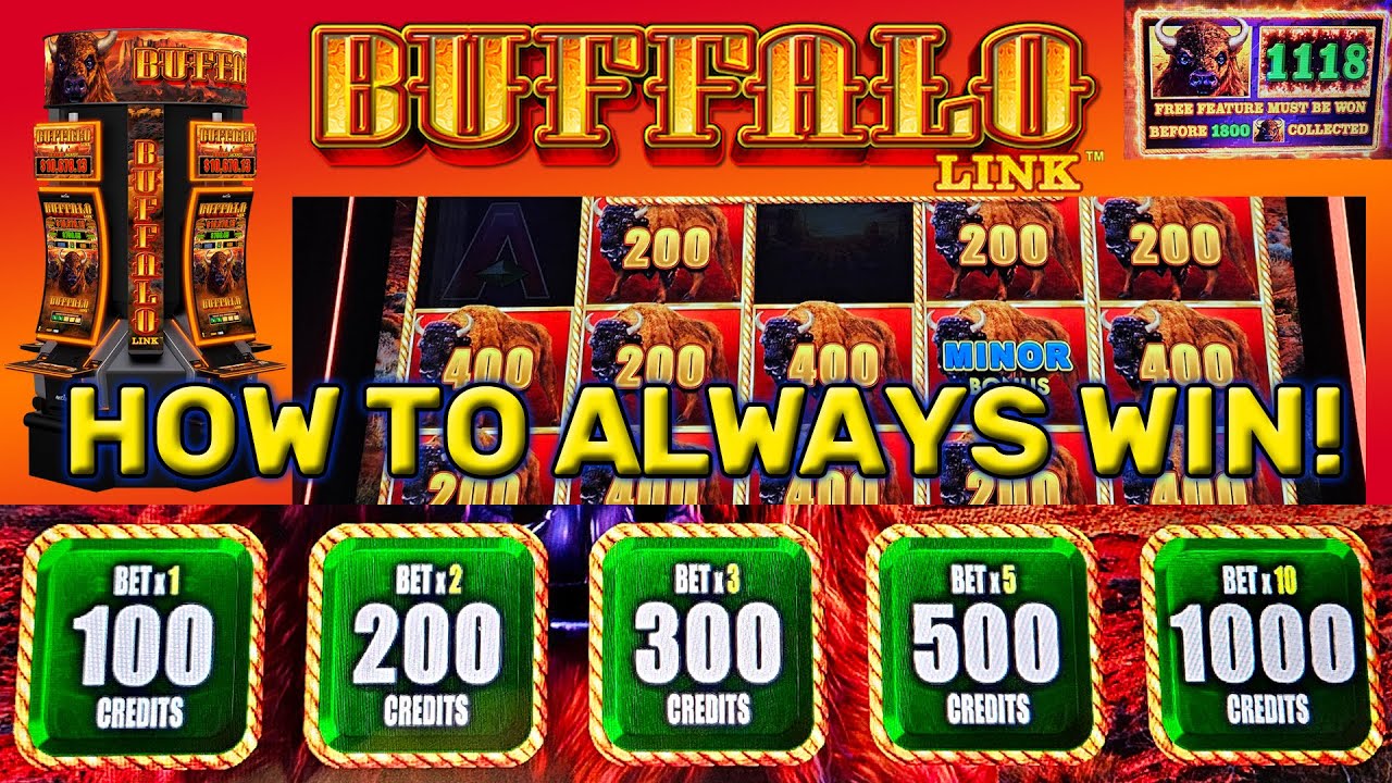 Как обыграть игровые автоматы Buffalo Link (и Buffalo Cash) &mdash; полное руководство AP