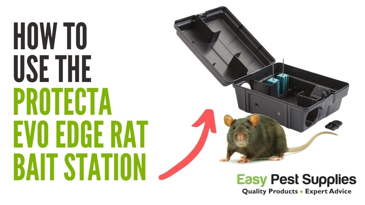 How to Use The Protecta Evo Edge Rat Bait Station