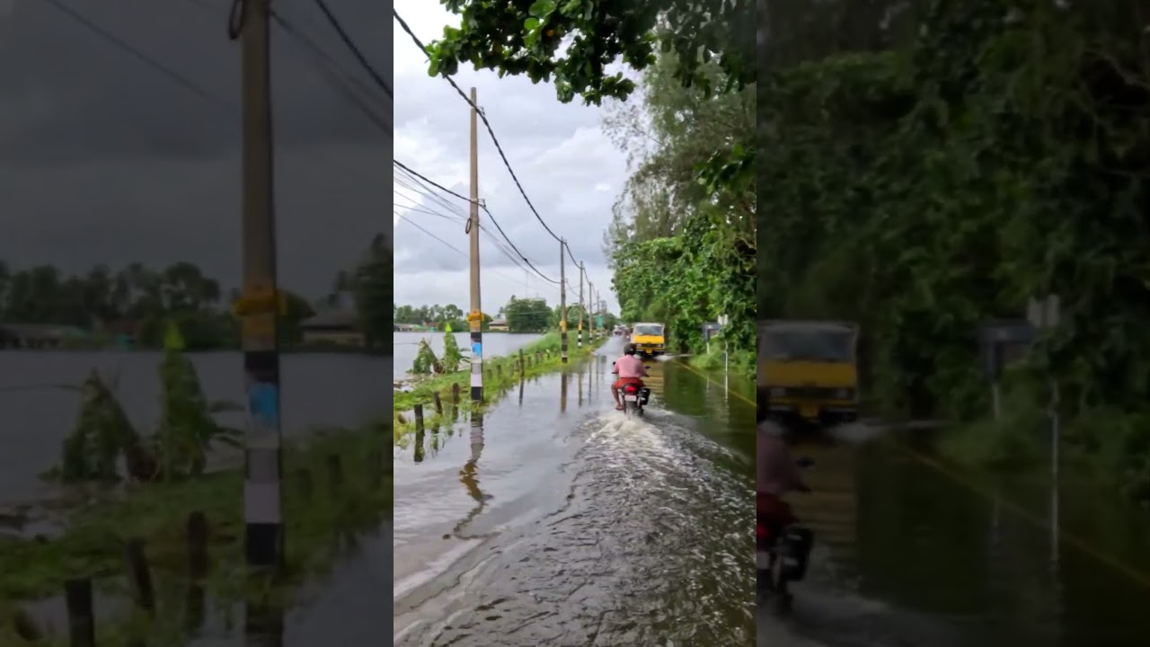 Kuttanad, Alappuzha, Kerala 💥 Floods 💥 #flood #floods #flooding #floodnews #kuttanad #alappuzha