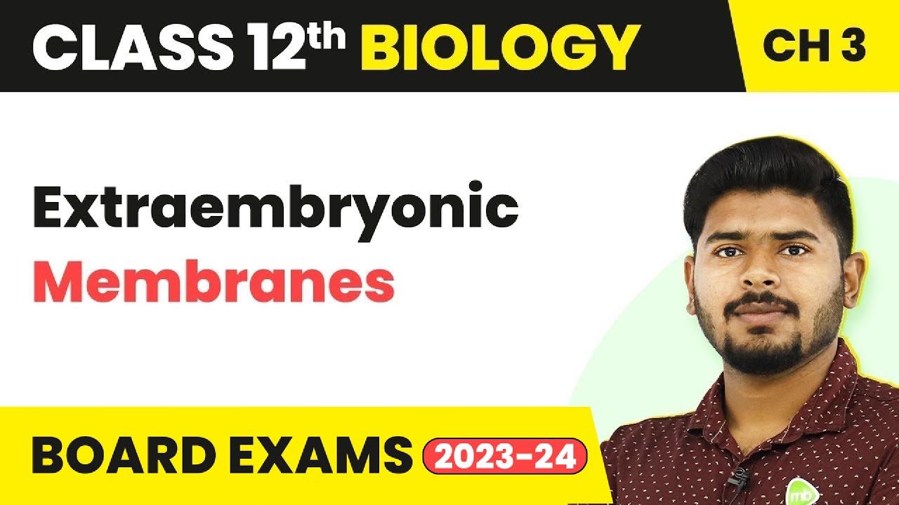 Extraembryonic Membranes - Human Reproduction | Class 12 Biology Chapter 3 NCERT/NEET (2022-23)
