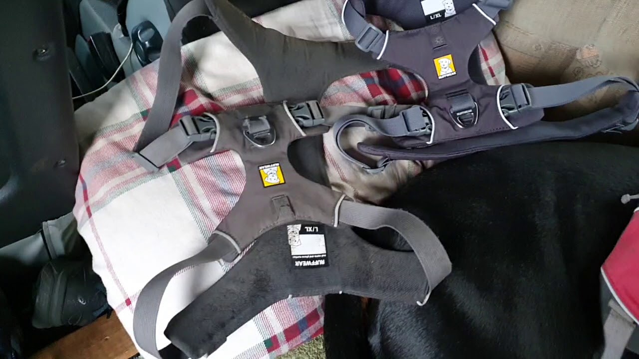 Ruffwear Harnesses review.