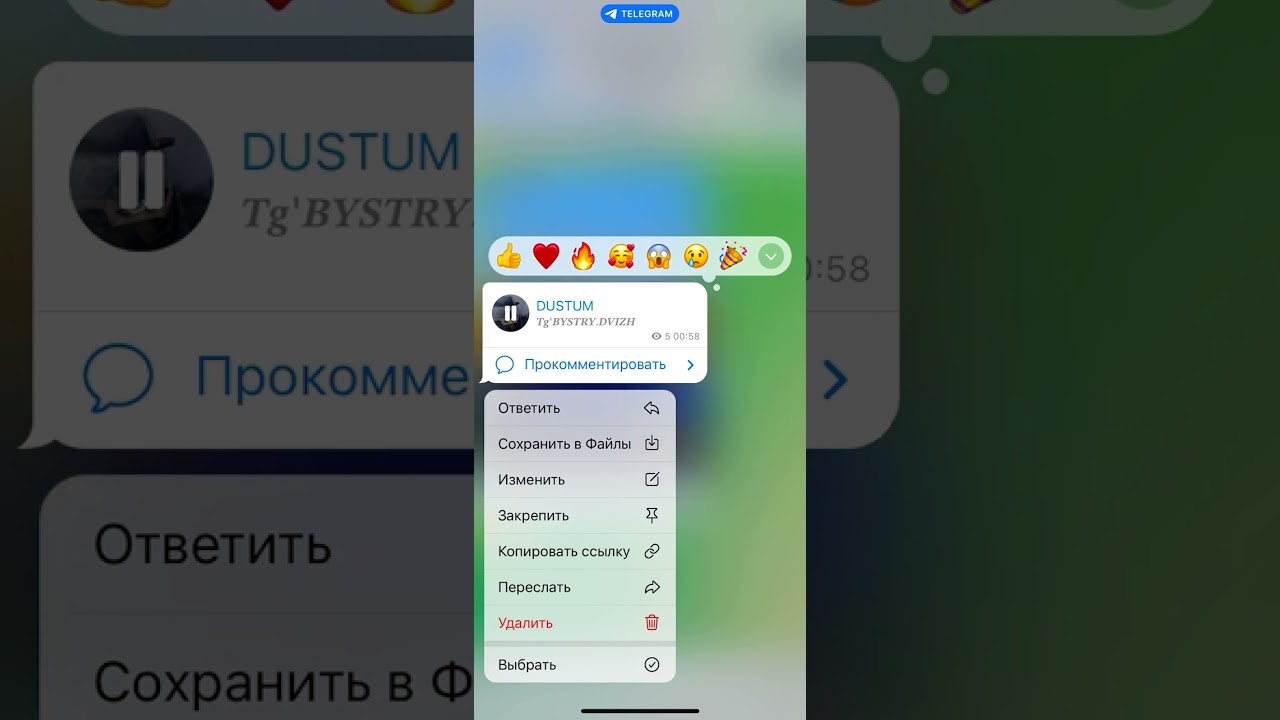 Макка Межиева Новинка-DUSTUM