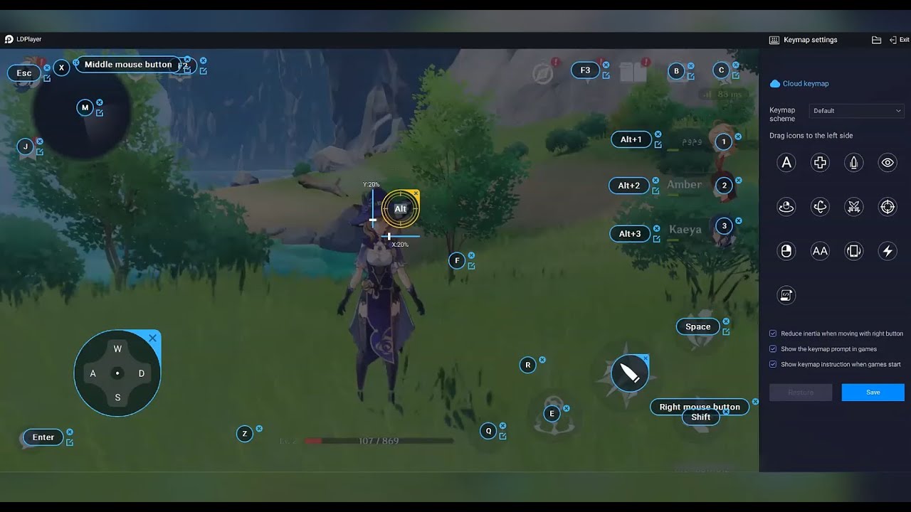 How To Setup Custom Controls on LDPlayer For General Games
