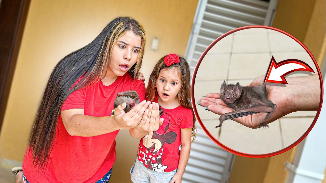 ENCONTRAMOS UM BEBÊ DE MORCEGO NO QUINTAL DA MINHA CASA!